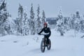 Private Electric Fatbike Tour in Winter