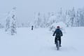Private Electric Fatbike Tour in Winter