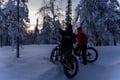 Private Electric Fatbike Tour in Winter
