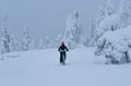 Private Electric Fatbike Tour in Winter