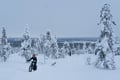 Private Electric Fatbike Tour in Winter