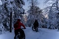 Private Electric Fatbike Tour in Winter