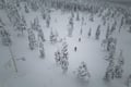Private Electric Fatbike Tour in Winter