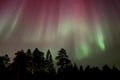 Aurora Hunting Tour from Saariselkä/Inari