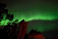 Aurora Hunting Tour from Saariselkä/Inari