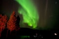 Aurora Hunting Tour from Saariselkä/Inari
