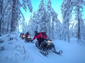 Snowmobile Safari Levi Classic — wilderness trail
