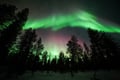 Premium Northern Lights Hunting Rovaniemi, Lapland, Finland