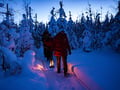Build Your Own Snow Igloo — winter survival masterclass, Levi