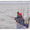 Sunset Fishing in Faxaflói Bay: 2.5-3 Hour Excursion