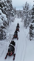 A SNOWMOBILE SAFARI 2,5h, in snowy forest, Levi