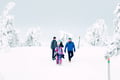 Frozen Wonderland: Riisitunturi Winter Photography Hike