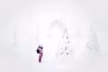 Frozen Wonderland: Riisitunturi Winter Photography Hike