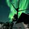 Northern Lights Boat Tour with Hot Chocolate and Free Retry Included