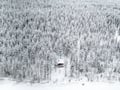Private Reindeer Feeding & Wilderness Sauna with Ice-Swimming