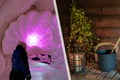 Visit to Snow Hotel & Wilderness Sauna (Private)