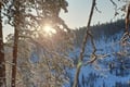 Rovaniemi: Korouoma Frozen Waterfalls Hike with Hot BBQ Lunch