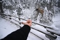 Rovaniemi: Korouoma Frozen Waterfalls Hike with Hot BBQ Lunch