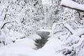 Rovaniemi: Korouoma Frozen Waterfalls Hike with Hot BBQ Lunch