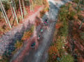 Husky Cart Ride in Autumn (5km)