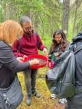Berry Picking in a National Park