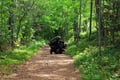 Your journey for the day