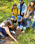 Berry Picking in a National Park