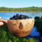 Berry Picking in a National Park