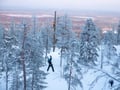 Explore Peaceful Pyhä National Park – Guided welcome tour & unique activities with transport