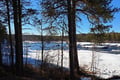 Inari Day Trip: Explore Janiskoski & Sámi Museum Siida