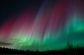 Levi: Private Guaranteed Northern Lights Expedition with Photographer & Unlimited Mileage/Time - Private Tour
