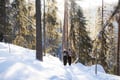 Korouoma Frozen Waterfalls