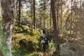 Rovaniemi: Insider Summer Hiking & Caves Tour Kätkävaara