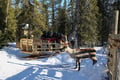 Reindeer Herder’s Day in the Wilderness — snowmobile sled & soup lunch, Levi