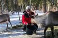 E-Fatbike Safari & Reindeer Herder’s Day with Lunch, Levi