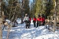 Reindeer Herder’s Day in the Wilderness — snowmobile sled & soup lunch, Levi