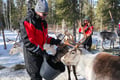 E-Fatbike Safari & Reindeer Herder’s Day with Lunch, Levi
