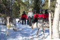 Reindeer Herder’s Day in the Wilderness — snowmobile sled & soup lunch, Levi