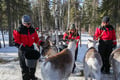 E-Fatbike Safari & Reindeer Herder’s Day with Lunch, Levi