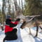 Reindeer Herder’s Day in the Wilderness — snowmobile sled & soup lunch, Levi