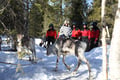 Reindeer Herder’s Day in the Wilderness — snowmobile sled & soup lunch, Levi