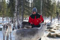 E-Fatbike Safari & Reindeer Herder’s Day with Lunch, Levi