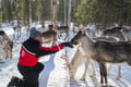 E-Fatbike Safari & Reindeer Herder’s Day with Lunch, Levi