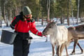 E-Fatbike Safari & Reindeer Herder’s Day with Lunch, Levi