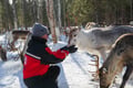 E-Fatbike Safari & Reindeer Herder’s Day with Lunch, Levi