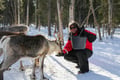 E-Fatbike Safari & Reindeer Herder’s Day with Lunch, Levi
