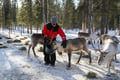 E-Fatbike Safari & Reindeer Herder’s Day with Lunch, Levi