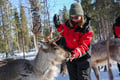 E-Fatbike Safari & Reindeer Herder’s Day with Lunch, Levi