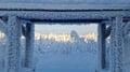 Rovaniemi: Lapland in Daylight – Scenic Nature & Wilderness Tour
