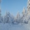 Rovaniemi: Lapland in Daylight – Scenic Nature & Wilderness Tour